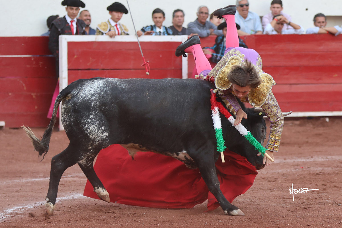 215A2066
