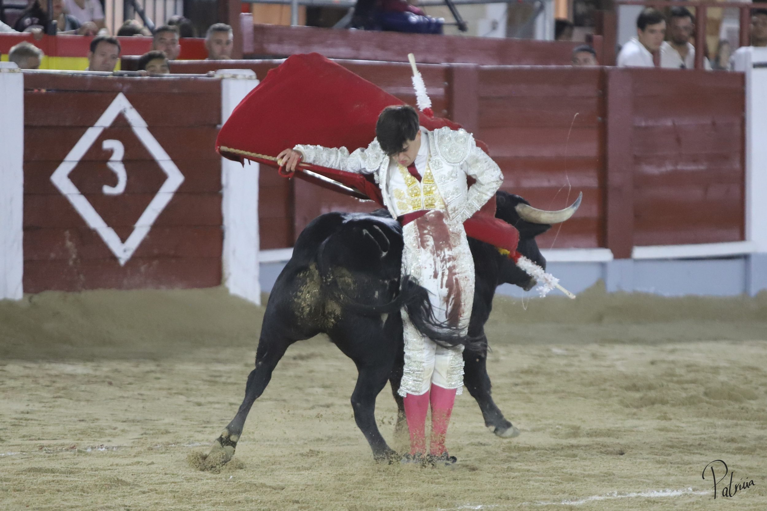 image00029