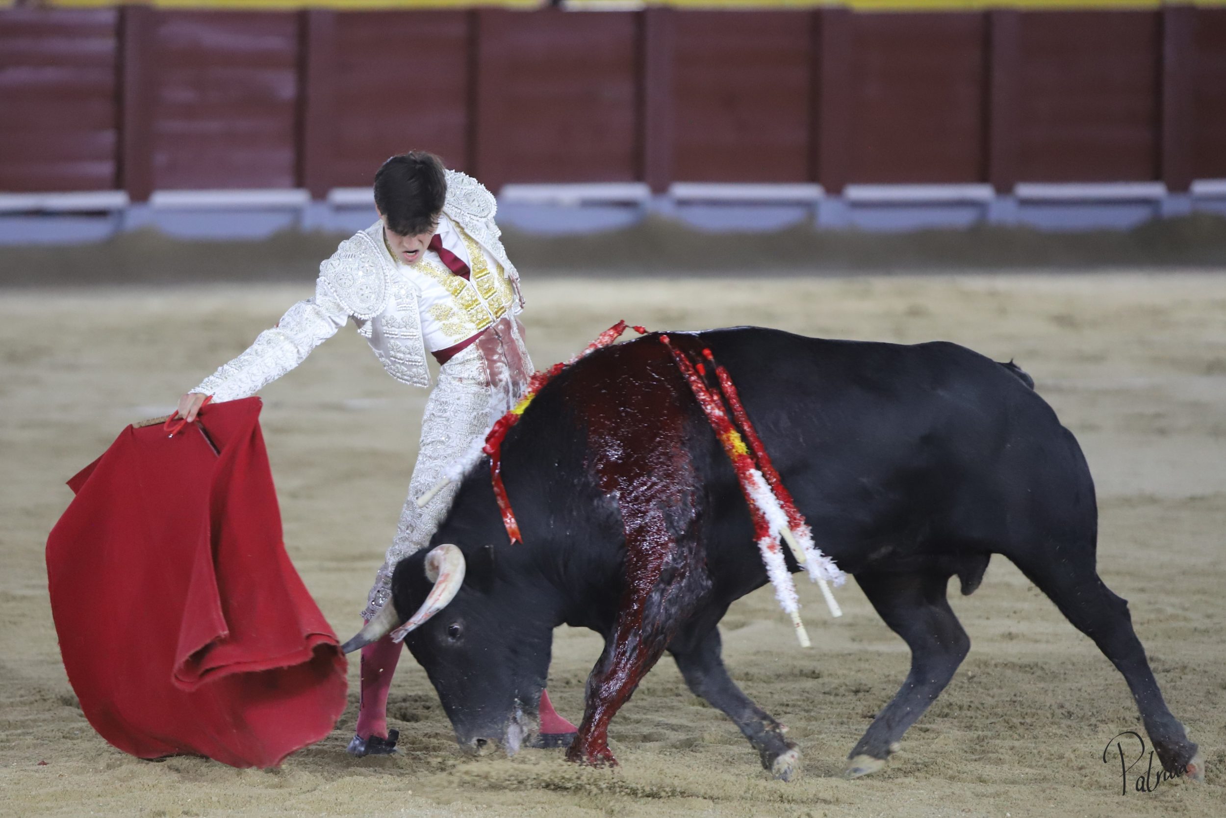 image00126