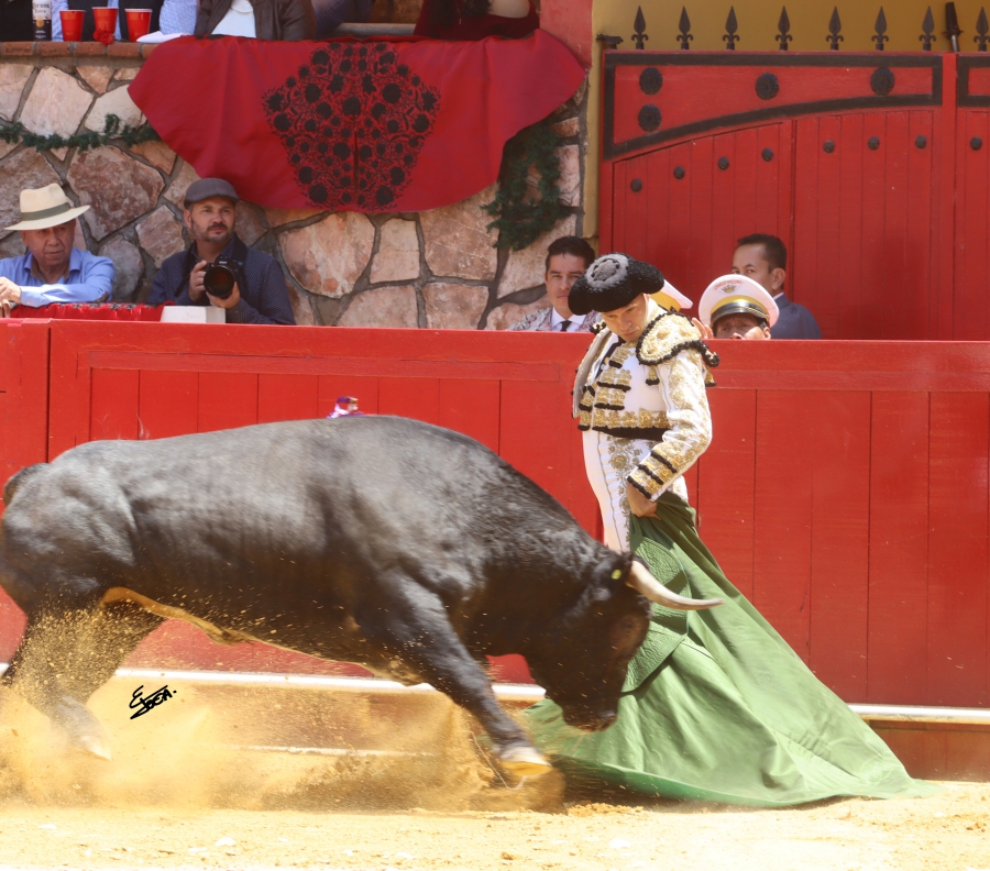 suerte 13