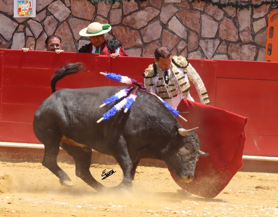 suerte 15