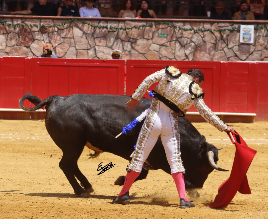 suerte 16