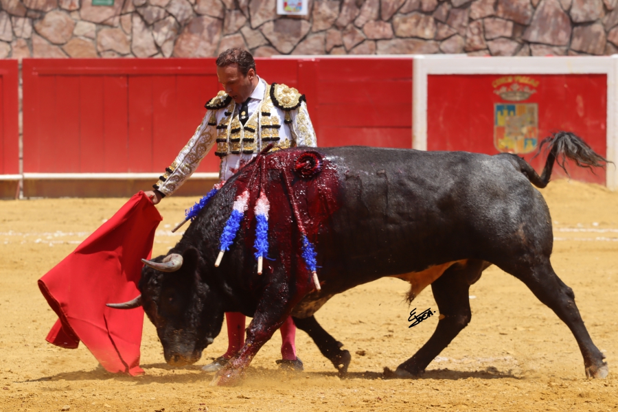 suerte 20