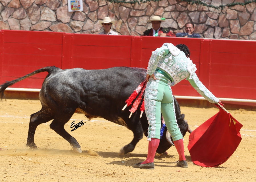 suerte 23