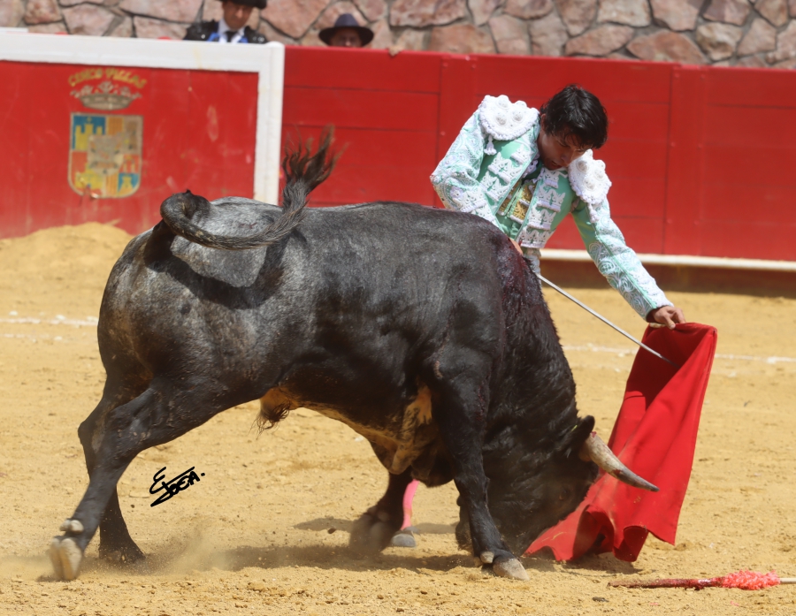 suerte 26