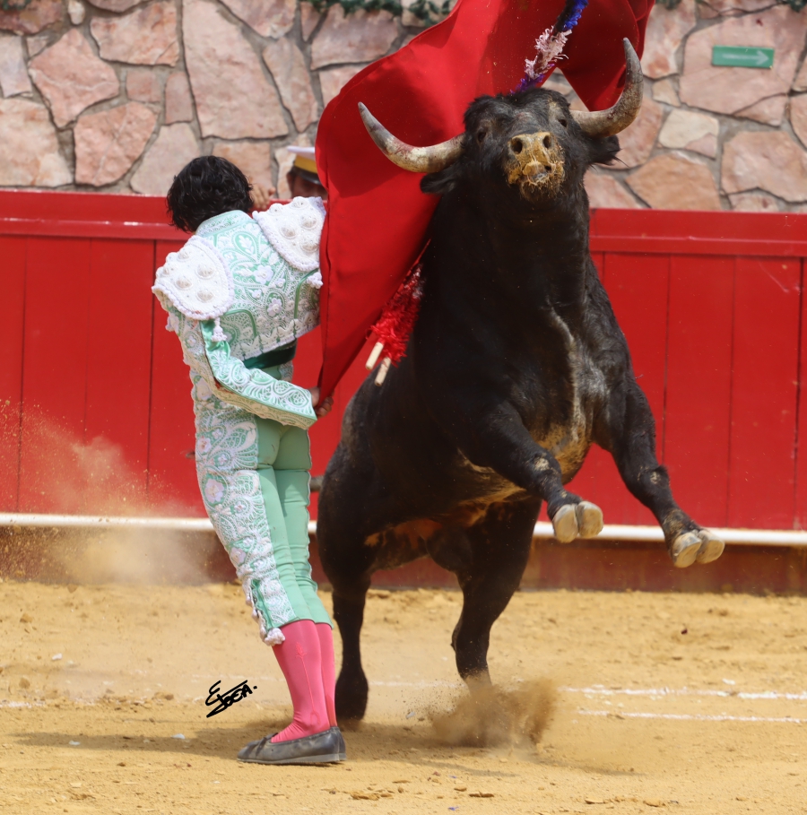 suerte 28