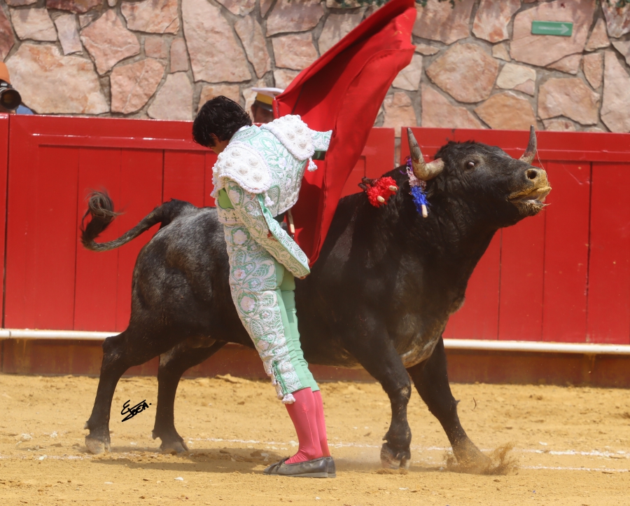 suerte 29