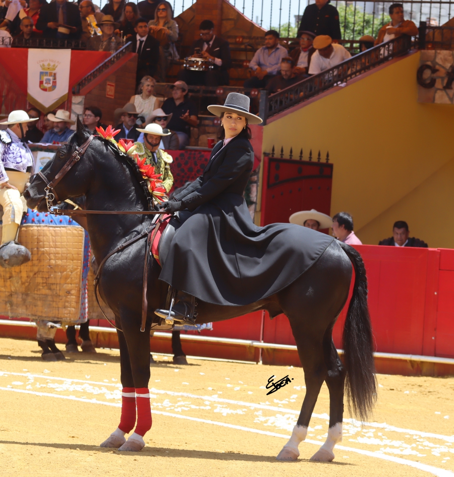 suerte 5