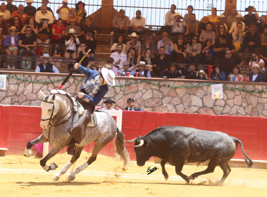 suerte 6