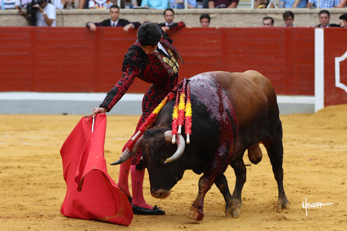 215A0674
