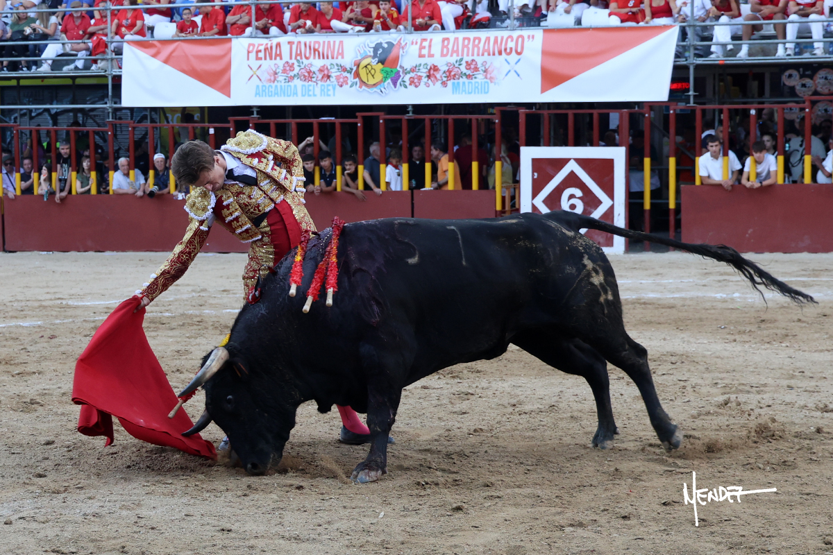 215A2932