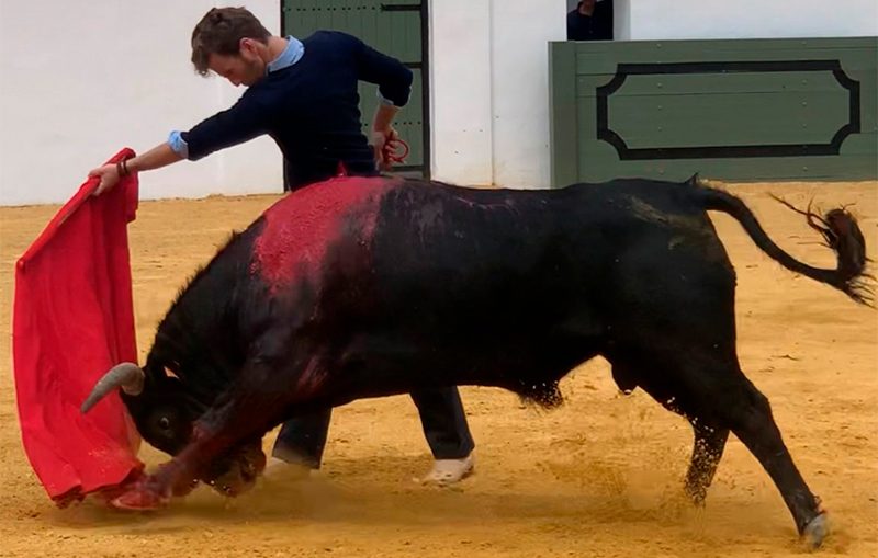“El Payo” mata dos toros a puerta cerrada en el campo bravo español